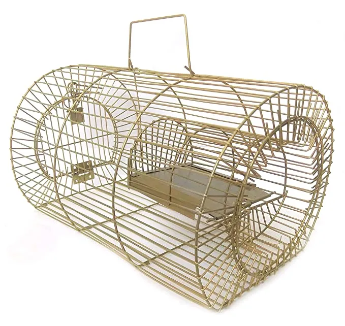 Amazon Buy Deskart Rat Trap Cage, Rodent Control, Chuhaa Pinjra for