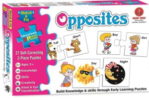 Amazon- Buy Educational Alphabets Match 2 Piece Puzzle