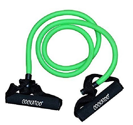 Cockatoo sales resistance band
