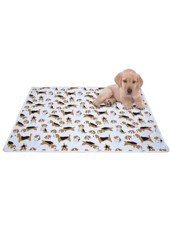 AAZEEM Soft Light Weight Mat for Dogs Cats Pets Size M Multi