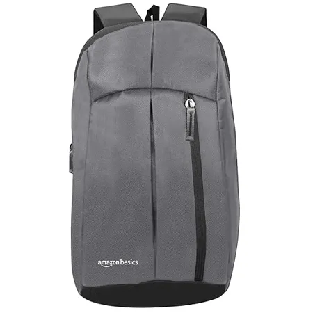 AmazonBasics Mini Backpack for Outdoor Use 12 l Metallic Grey 
