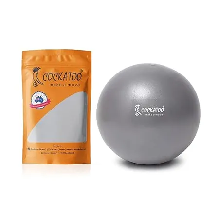 Cockatoo PVC 25 CM Mini Gym Ball Exercise Ball 6 Month Warranty 