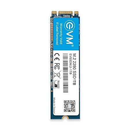 EVM M 2 2280 1TB SSD Fast Performaning SATA Internal Solid State Drive Read Speed 550MB s Write Speed 520MB s 5 Years Warranty EVMM2 1TB 