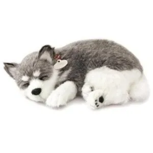 Petzzz Alaskan Husky Amazon