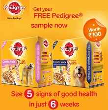 Wer4pets-Free Pedigree dog food sample