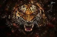 Flipkart Laptop Skins at Rs 89 only