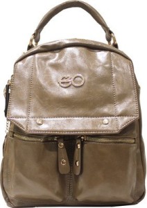 Flipakrt E20 back pack