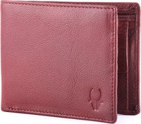 Flipkart Wallet flat 80 off