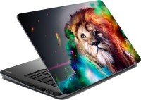 Flipkart laptop Skins