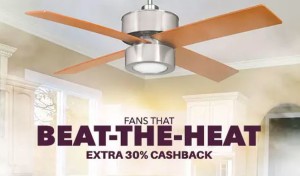 paytm fans at extra 30 cashback