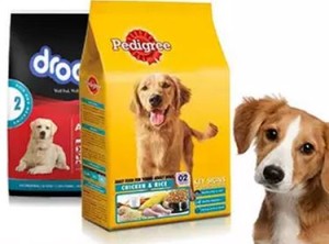 pet supplies at 50 cashback paytm big sale
