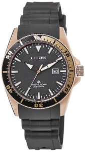 Citizen Eco-Drive Analog Black Dial Mens Wath
