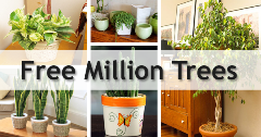 Get your Free Plant & Seeds
