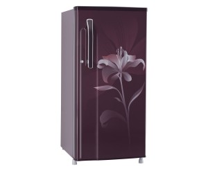 LG GL-B205KSLN Direct-cool Refrigerator (190 Ltrs,Scarlet Lily) Rs 8499 only amazon