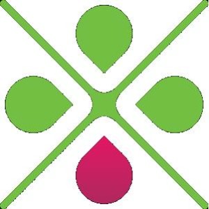 LIME APP