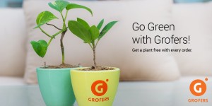 grofers