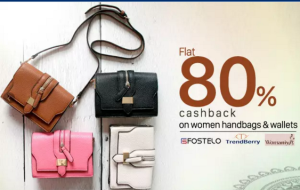 paytm mega diwali sale flat 80 cashback on handbags and wallets