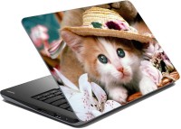 Flipkart Steal deal- Buy Laptops Skins starting at just Rs 29 + Shipping extra