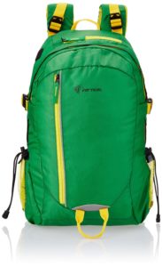amazon-gif-2016-buy-the-vertical-router-green-casual-backpack-vr-rou06rk-pro2015-at-rs-539-only