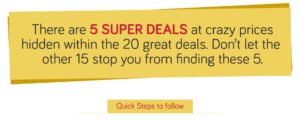 snapdeal-gonein101