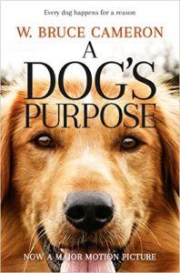 Amazon - Buy A Dog's Purpose Paperback at Rs 178 only