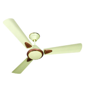 Pepperfry - Buy Havells Fusion 2 900 mm Matte Finish Pearl Ivory & Brown Ceiling Fan at Rs 1463 only