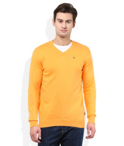 (Suggestiaons Added) Snapdeal - Buy American Swan Clothing at upto 85% off