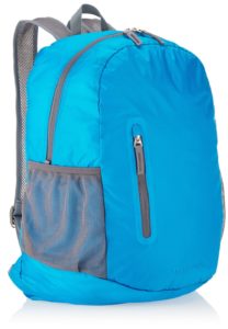 AmazonBasics Ultra thin Foldable Day Pack