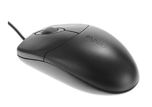 Rapoo Flyshine N1020 Optical Wired Mouse (Black) for Computer and PC for Rs.199
