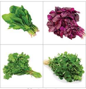 Only For Organic Combo Of Leafy Vegetable (Four Varieties 150 Quantity Each) at rs.101