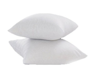 Warmland 2 Piece Microfibre Cushion Filler Set - 16x 16, White at rs.249