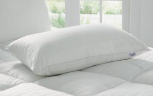 Amazon is selling Story@Home Luxurious Premium Microfibre Pillow - 17"x27", White for Rs 299 only