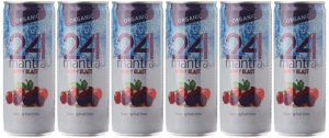 Amazon- Buy 24 Mantra Organic Berry Blast