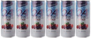 Amazon- Buy 24 Mantra Organic Berry Blast