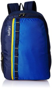 Amazon- Safari bag