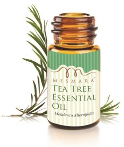 (Live at 2 PM) Amazon - Buy Mesmara Australian Tea Tree Essential Oil 15 ml 100% Pure Natural & Undiluted at Rs 1 only
