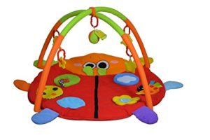 Amazon- Buy Sunbaby Lovely Lady Bird Playmat