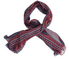 The Gud Look Women's Border Print Scarf (10005565, blue, FS)