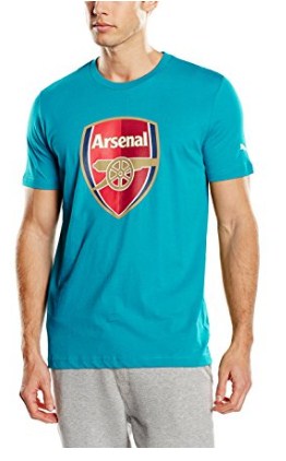 Puma Men's Round Neck T-Shirt