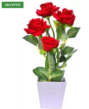 Naturo Bonsai Imported Red Rose Plant Seed