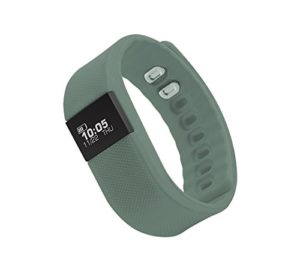 Zebronics Fit100 Fitness Band (Grey)