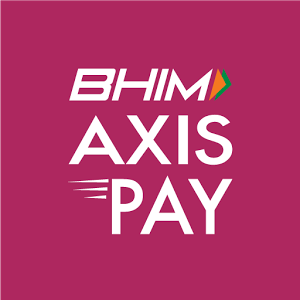bhim axis pay