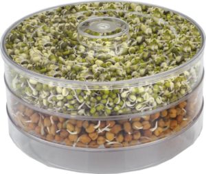 Amazon- Buy Amiraj Plastic Sprout Maker