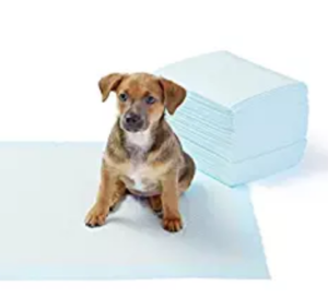 AmazonBasics Pet Training and Puppy Pads, Regular - 50-Count at rs.425