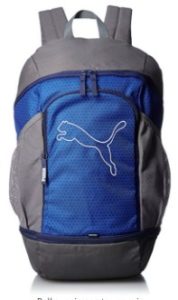 Puma 23 Ltrs Lapis Blue Laptop Backpack (7439608) 
