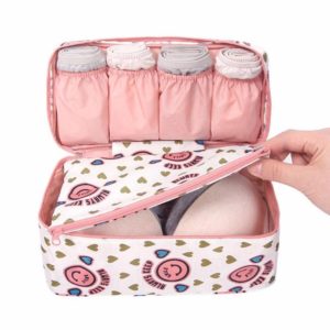 Amazon- Buy AEXiVE Multifunctional Bra Underwear Organizer Travel Bag With Handle at Rs 99