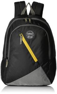 Amazon- Buy Gear 28 Ltrs Black and Yellow Casual Backpack at Rs 399