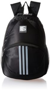 Amazon- Buy Giordano Laptop Bags 