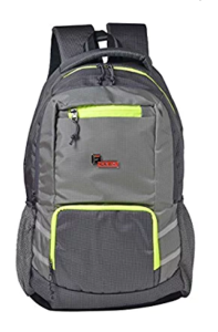 F Gear Intellect 31 Ltrs Grey Casual Backpack (2542)