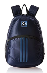 Flat 74% Off on Giordano Laptop Backpacks